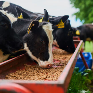 Agricultural Supplies